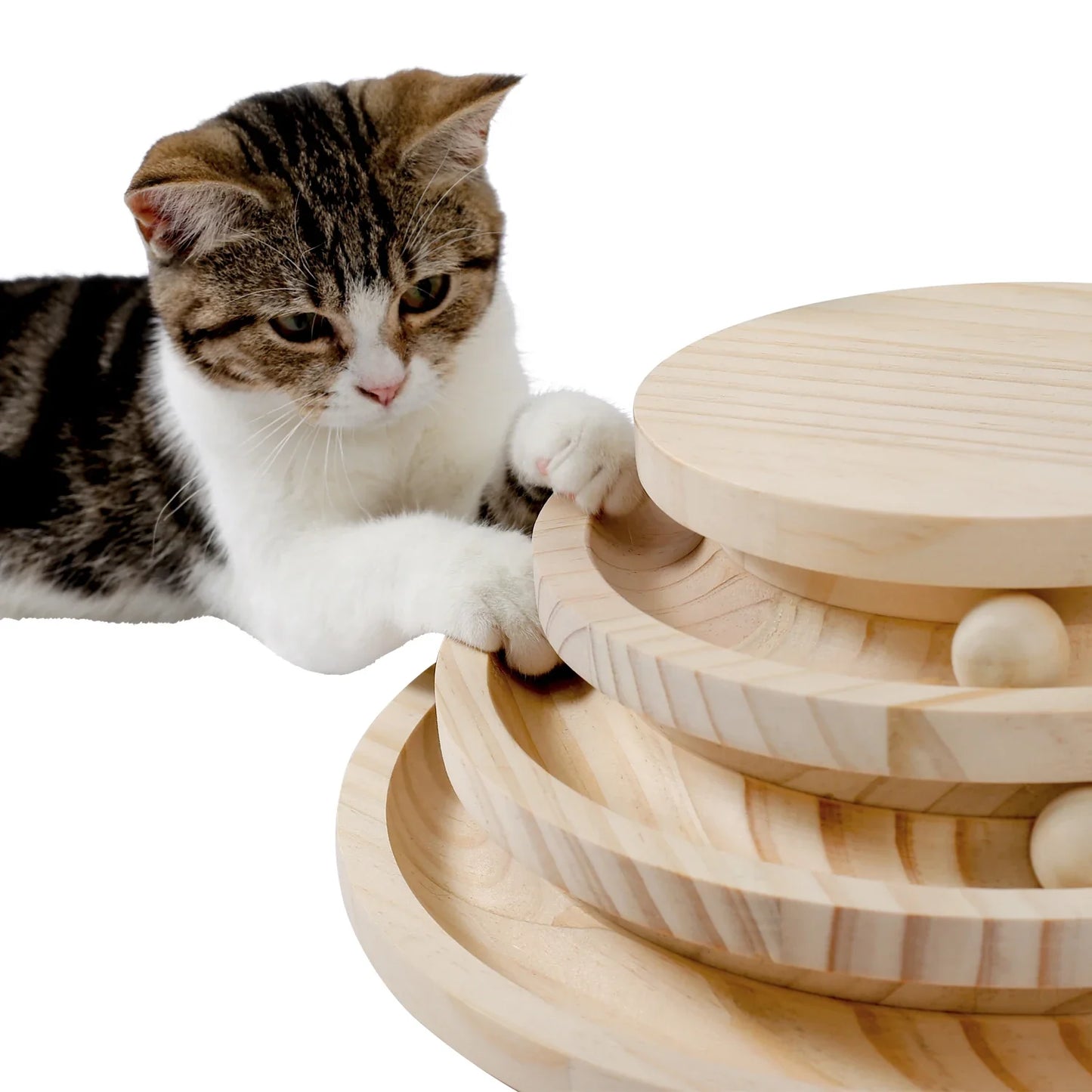 Arbre à chat en bois massif avec jeu de balles