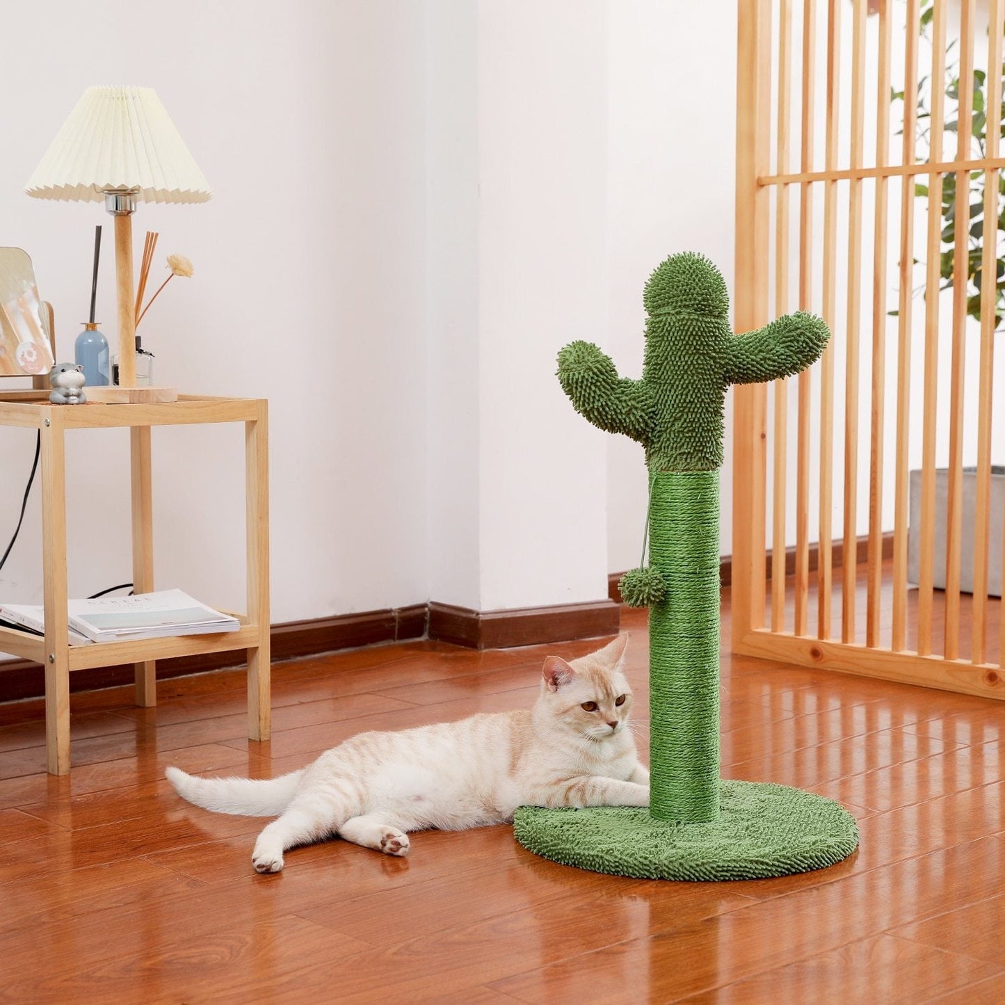 Arbre à chat cactus