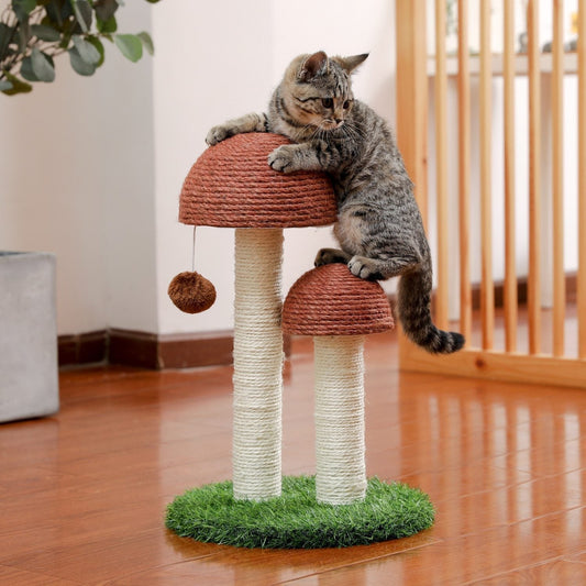 Arbre à chat champignon